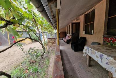 Sosdea 2 Case cu Teren 4657 Mp. - 11