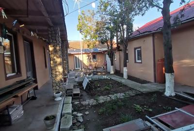 Vand curte cu doua case in limanu la 5 km de Mangalia si 7km de vama veche - 5