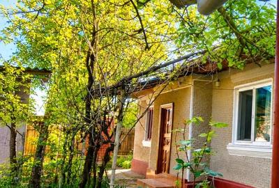 Casă cu 4 camere cu Teren 600 Mp în Central - 4