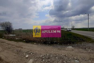 Teren Construcții intravilan de 5110 mp, în 1 Decembrie - 20