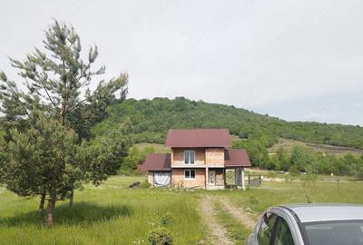 Casă cu Teren 3200 Mp în Lăpuș
