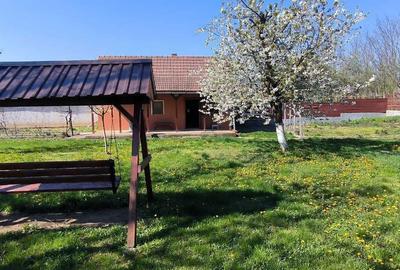 Casă cu 2 camere în Sântimreu - 5