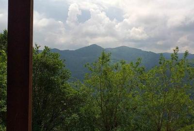 Casă în Muntele Rece - 9