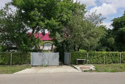 Casa batraneasca cu anexe si teren Loturi Enescu Dorohoi - 1