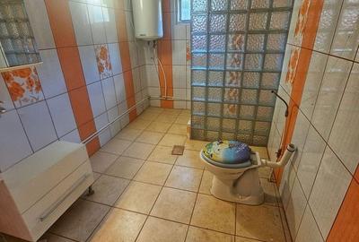 Casă cu 4 camere în Teișani - 9