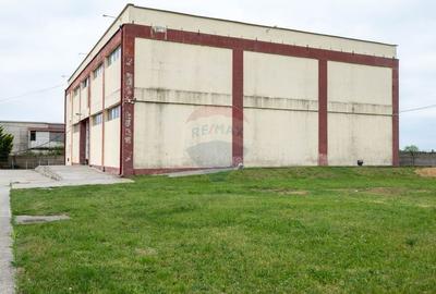 Spațiu industrial, de 1,200 mp, în Cernica - 4