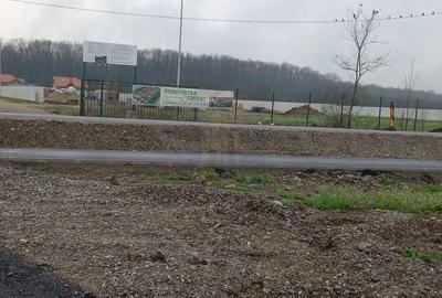 Casă individuală cu 4 camere cu Canalizare în Periș - 23