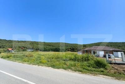 Teren de 4900 mp, în Central - 5