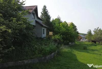 Teren de 4863 mp, în Adâncata - 9