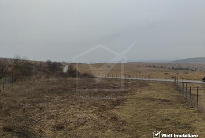 Teren intravilan in Chinteni – investitie (Necesita PUZ) - 2