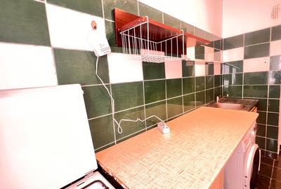 Garsonieră decomandată, mobilată în Timpuri Noi - 29