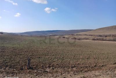 Teren de 3900 mp, în Mierlău - 7