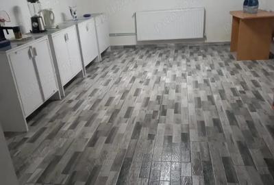 Vand casa in apropierea ora?ului Re?i?a! - 5