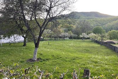 Teren de 1590 mp, în Firiza