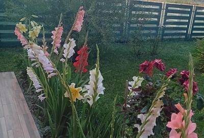 Casă cu 4 camere în Central - 4