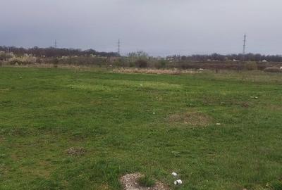 Teren pretabil hala industriala/rezidential Catelu - 1