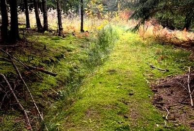 Vanzare 5,3 ha pasune deasupra Voronetului Suceava - Proiect Turistic - 19