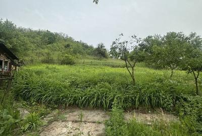 Spațiu comercial, în Brusturi - 1