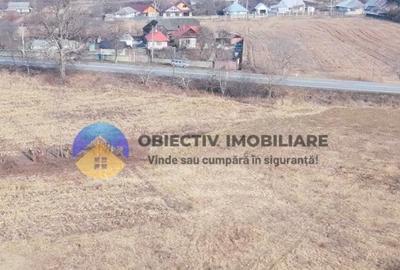 Teren Construcții intravilan de 3035 mp, în Bodești - 2