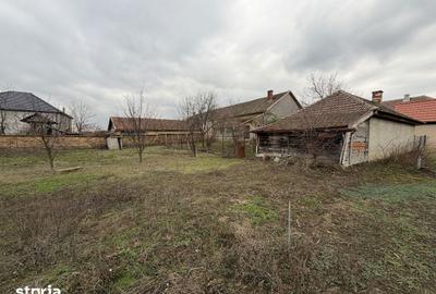Casă cu 5 camere cu Teren 4319 Mp în Central - 8