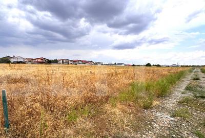 Teren de 1000 mp, în Central