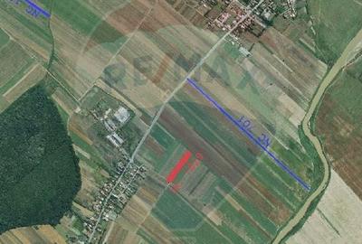 Teren Construcții intravilan de 4955 mp, în Nuci - 1