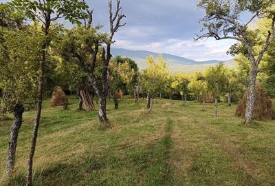 Teren superb, in mijlocul pădurii - 6