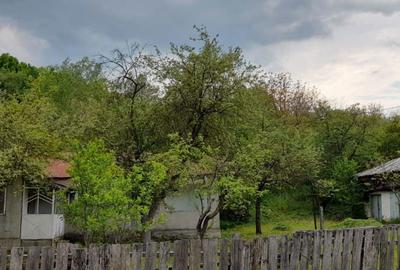 Casa + teren intravilan - 8