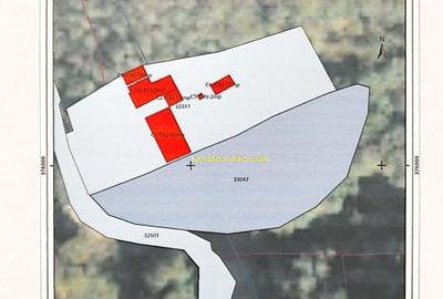 Proprietar vând teren intravilan 1491 mp Băile Herculane (Pecinișca-Păstrăvărie) - 3