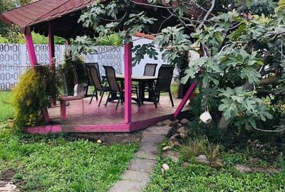 Casă cu 2 camere în Brâncoveanu - 5