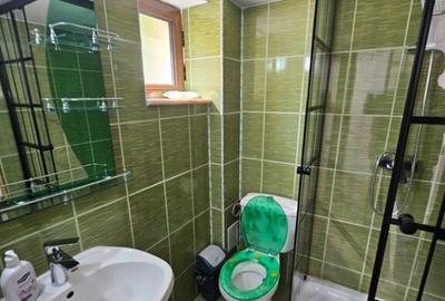 Vila Vetel zona Valea Caoi - 11