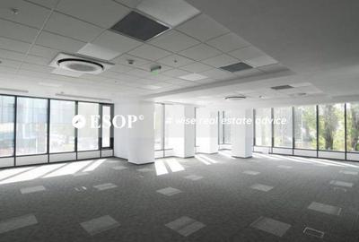 Spațiu comercial, de 390 mp, în Lujerului - 11