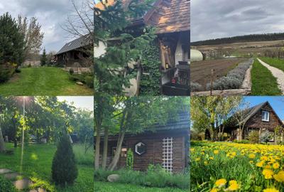 Casă cu 4 camere în Bazna - 7