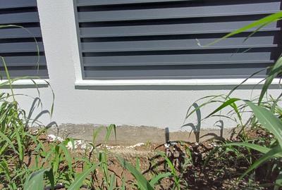 CASA 4 CAMERE , BECI , VALEA ADANCA 5 DRUMURI - 5