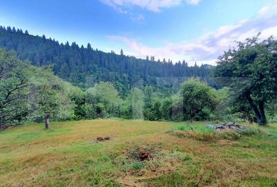 Teren intravilan, 31 ari, Ilva Mica, zona montana - 5