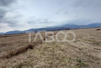 Teren de 15000 mp, în Tălmaciu - 5