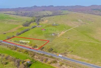 Teren de 7786 mp, în Vlădeni - 2