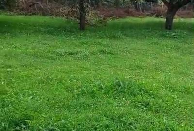 Casă cu Teren 4000 Mp în Ocoliș