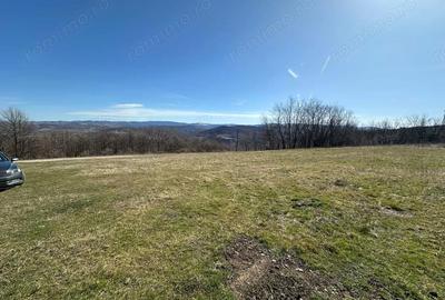 Teren de 9220 mp, în Periferie - 2