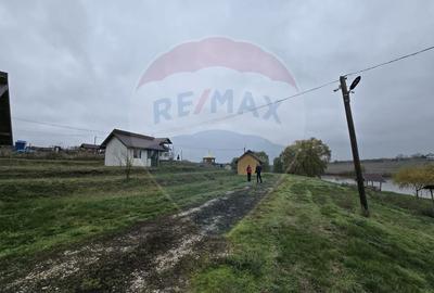 Teren extravilan de 129700 mp, în Iepurești - 11