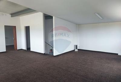 Hala Industriala, Parcul Industrial Bors 2, De Vanzare - 6