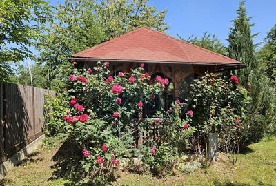 Casa / Vila cu 6 camere de vanzare - CORNU - 16