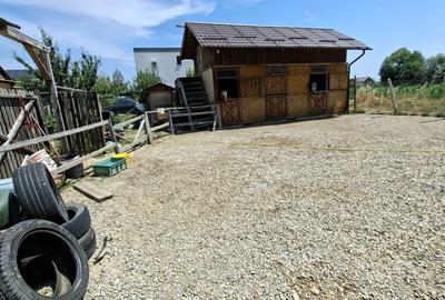 Spațiu comercial, în Bascov - 1