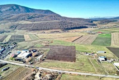 Teren Industrial cu P.U.Z. - 18