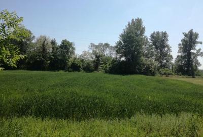 Spațiu comercial, în Vladimir - 3