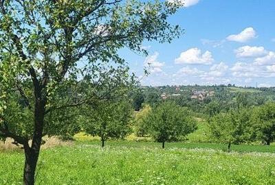 Casă cu 3 camere cu Teren 700 Mp în Groși - 14