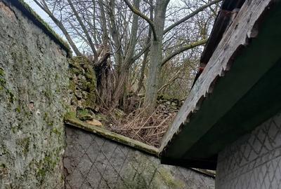 Casa din piatra zona vanatoare locuibila la 42km de Mangalia - 2