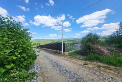 Teren de 1000 mp, în Bârnova - 1