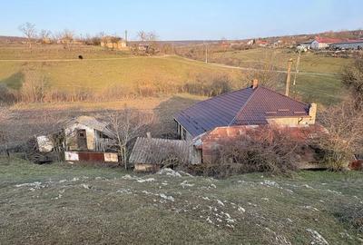 Casă cu 4 camere cu Teren 6294 Mp în Cerbu - 1