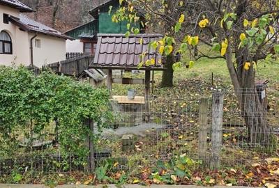 Casă individuală cu 3 camere cu Teren 3500 Mp în Sud - 4